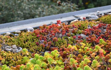 the cost of Blendworth green roof installation