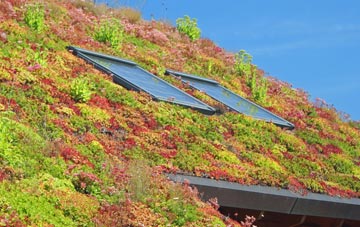 Blendworth living roof systems